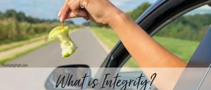What is Integrity?